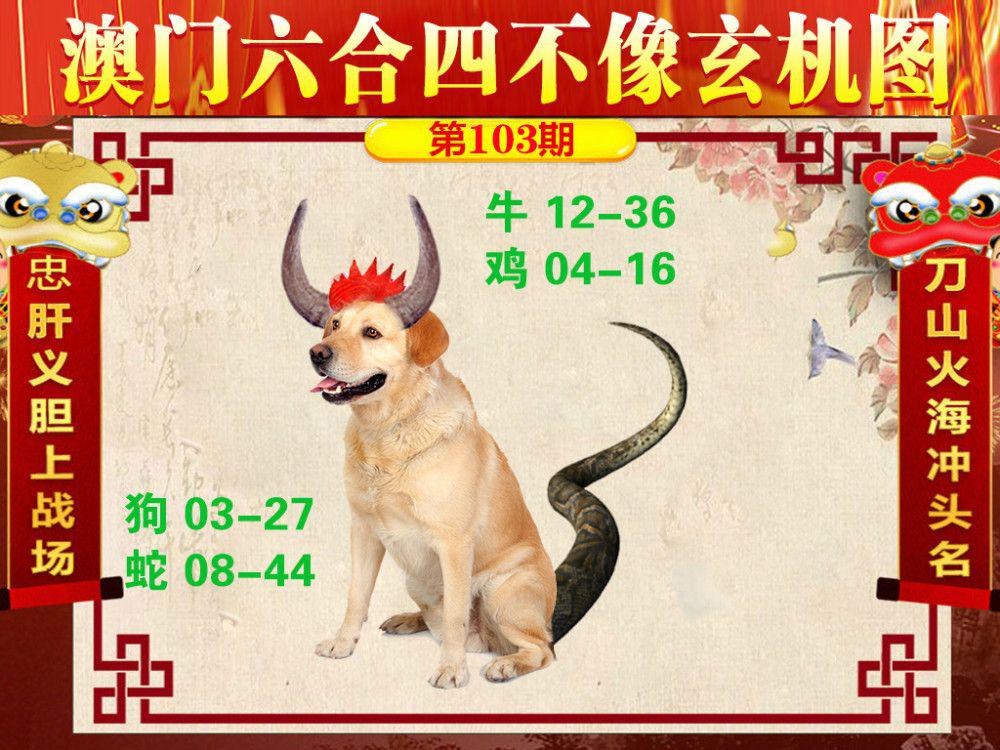 澳彩资料网5-12不中