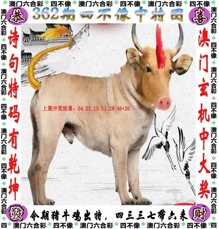 澳彩资料全年免费大全	