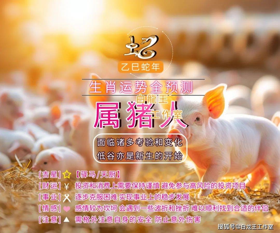 2025年正版资料免费大全视频猪跟什么生肖数字最有财运