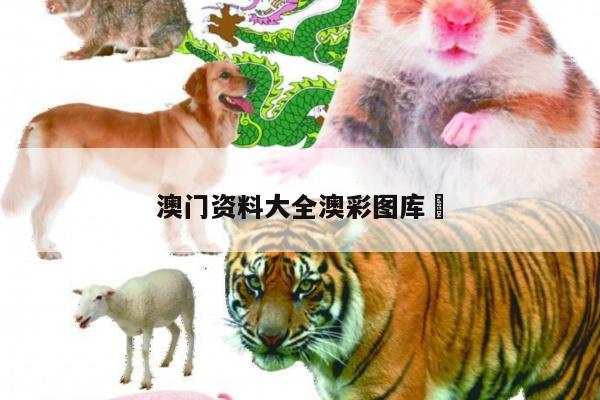 澳门资料大全澳彩图库	