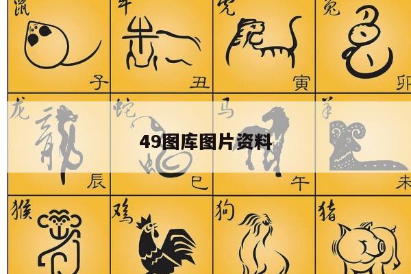 49图库图片资料
